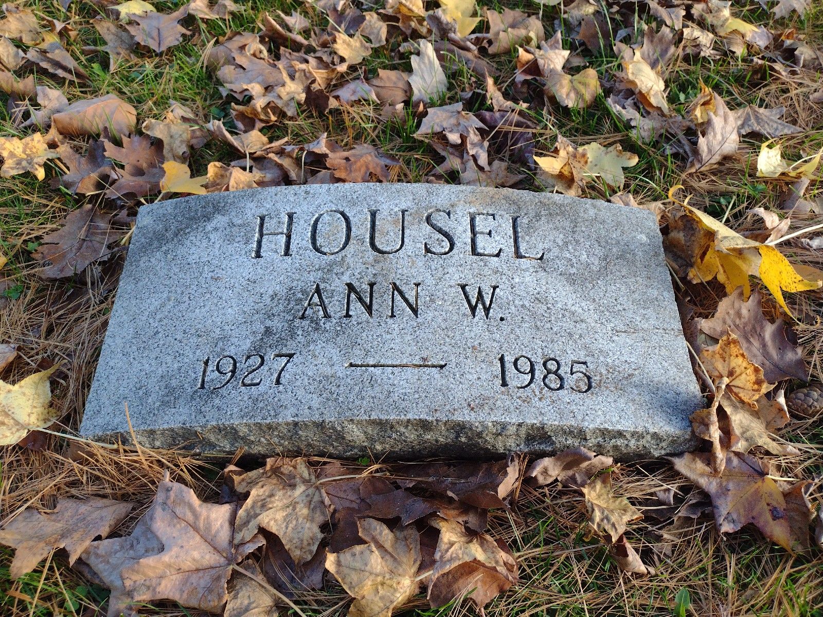 Ann Housel