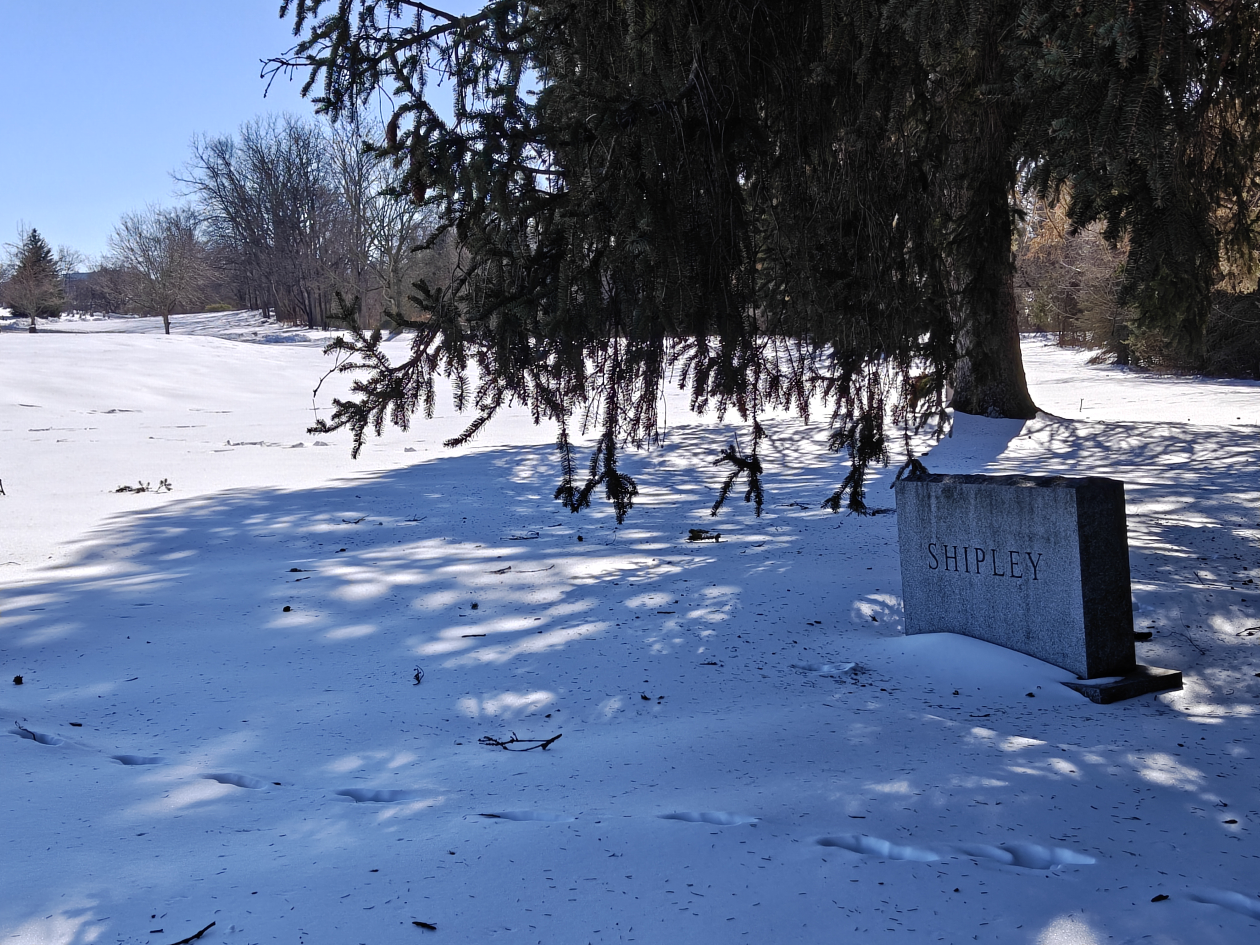 Three-quarters front right view of the Shipley family gravestone monument, with snow covering the foreground.