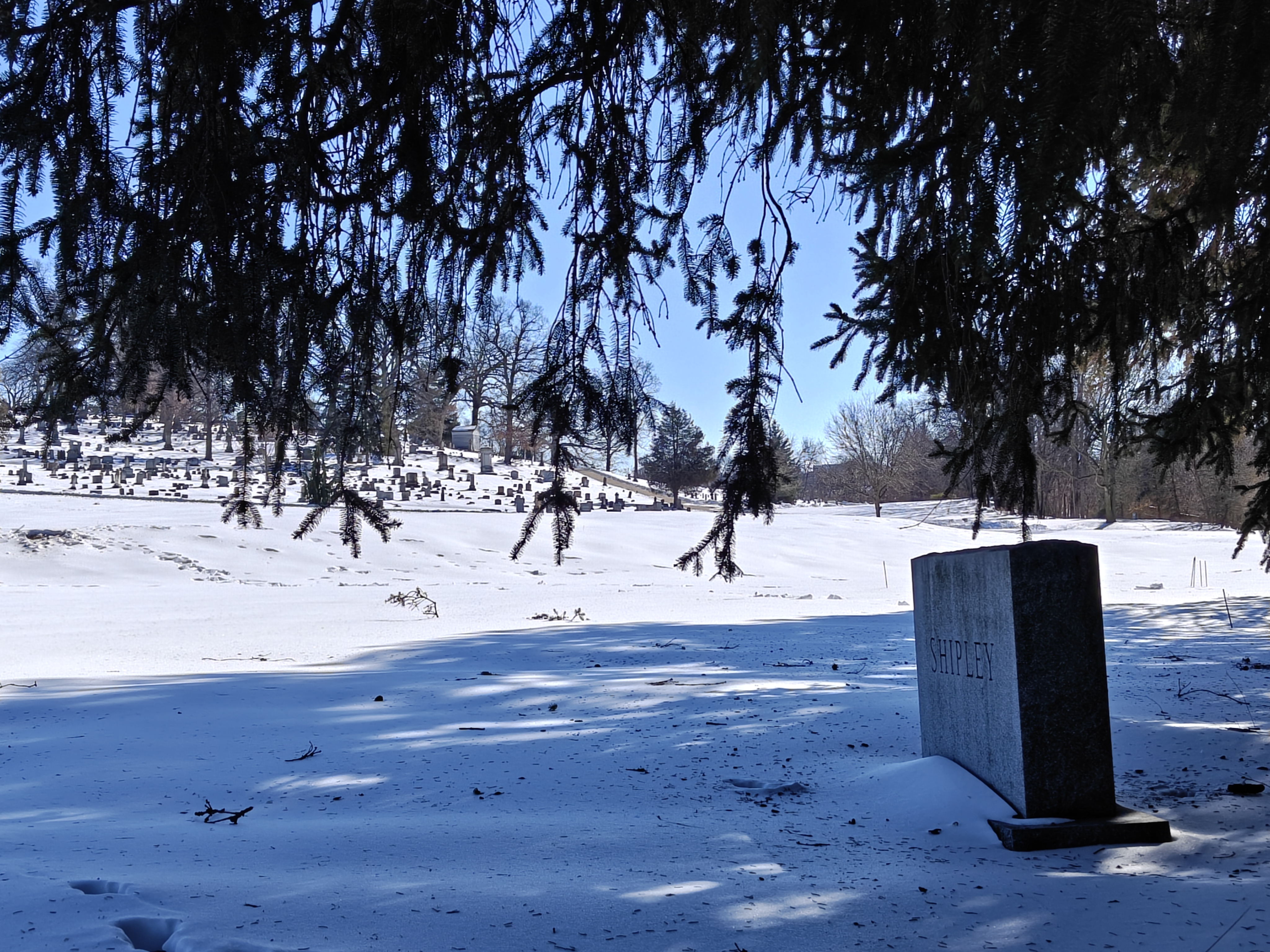 Right side view of the Shipley family gravestone monument, with show covering the foreground, and Section R of the Prospect Hill Cemetery in the background.