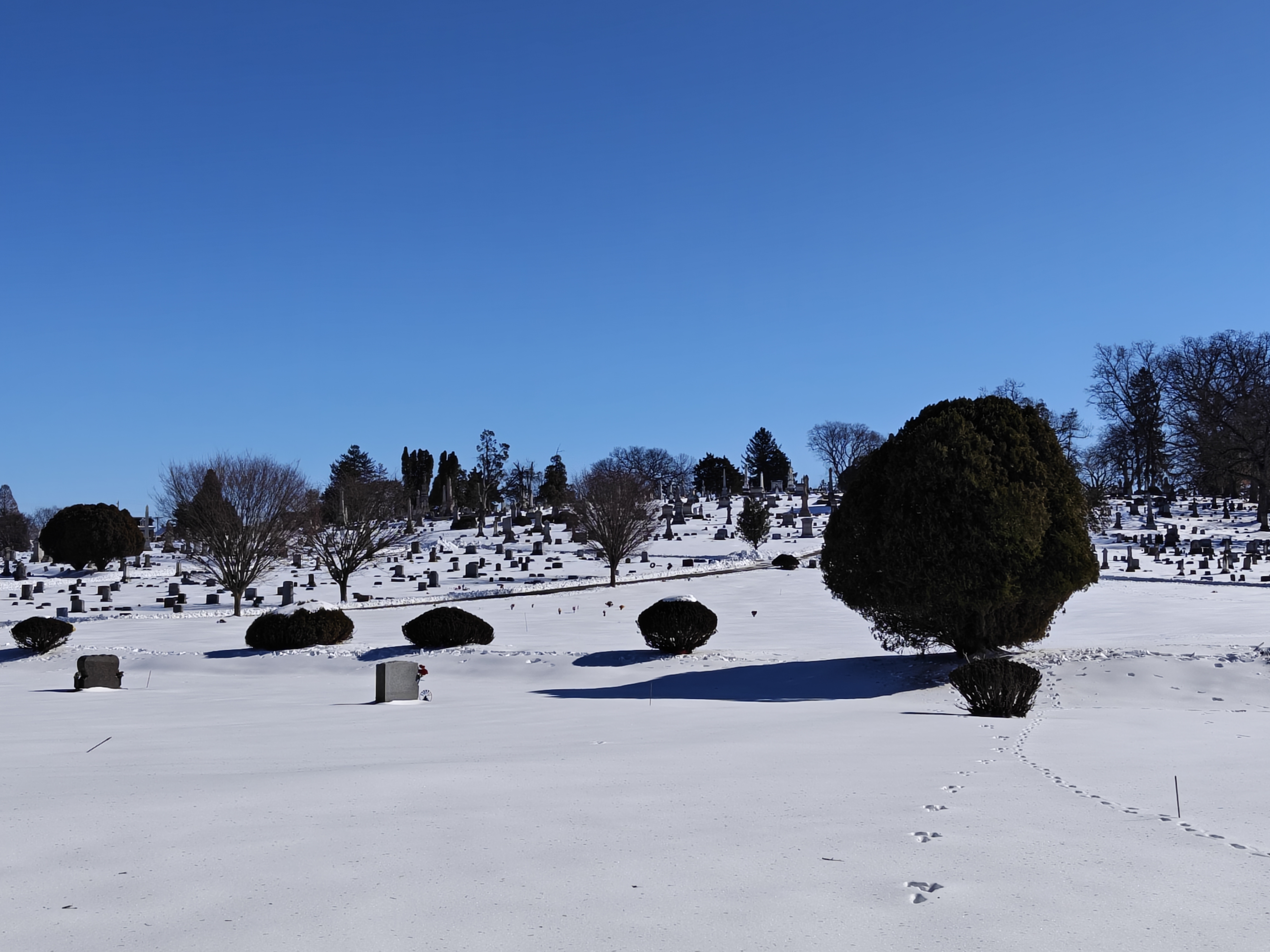 Sections R, H, and 11 of the Prospect Hill Cemetery, with snow covering the foreground.