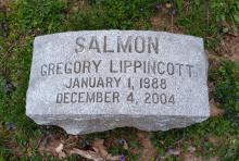 Gregory Lippincott Salmon